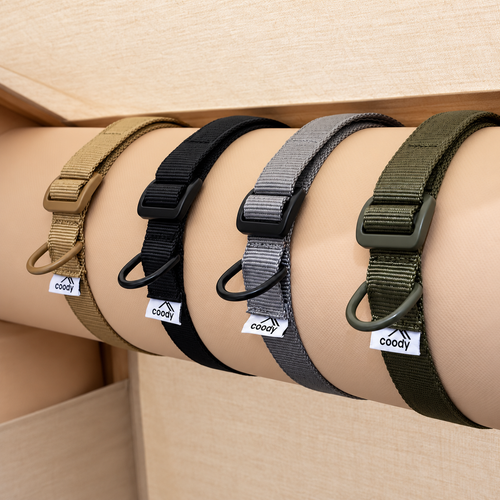 Coody Air Beam - Gespband